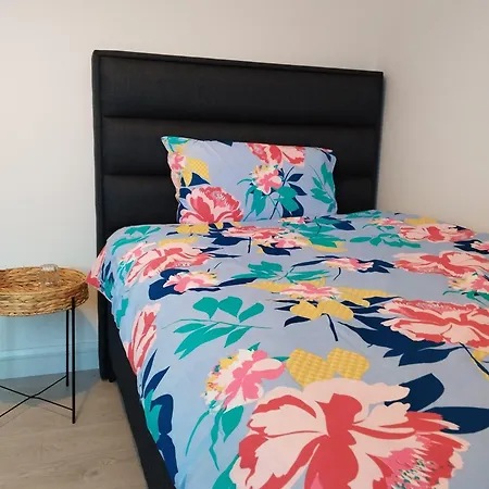 Homestay 홈스테이